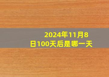 2024年11月8日100天后是哪一天