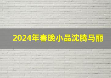 2024年春晚小品沈腾马丽