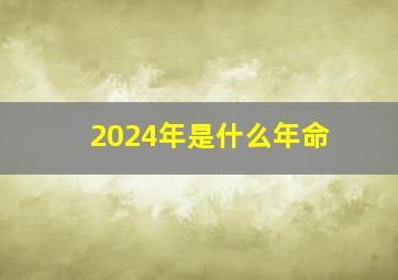 2024年是什么年命