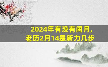 2024年有没有闰月,老历2月14是新力几步