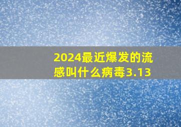 2024最近爆发的流感叫什么病毒3.13