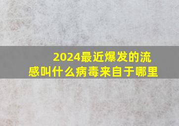 2024最近爆发的流感叫什么病毒来自于哪里