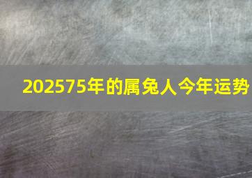 202575年的属兔人今年运势