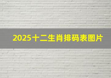 2025十二生肖排码表图片