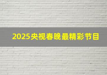 2025央视春晚最精彩节目