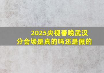 2025央视春晚武汉分会场是真的吗还是假的