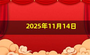 2025年11月14日