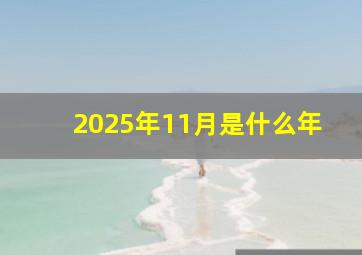 2025年11月是什么年