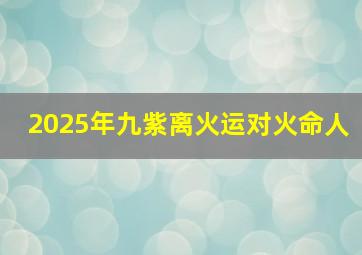 2025年九紫离火运对火命人