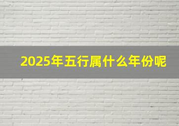 2025年五行属什么年份呢