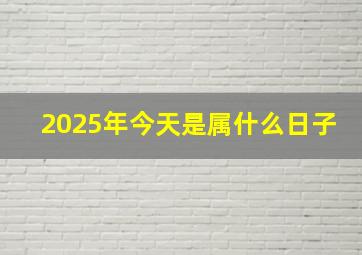 2025年今天是属什么日子