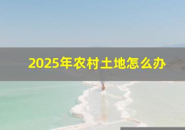 2025年农村土地怎么办