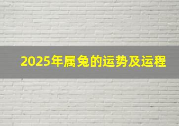 2025年属兔的运势及运程