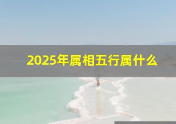 2025年属相五行属什么