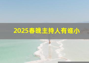 2025春晚主持人有谁小