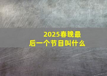 2025春晚最后一个节目叫什么