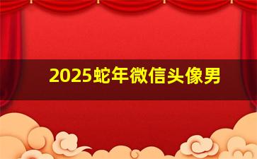 2025蛇年微信头像男