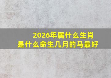 2026年属什么生肖是什么命生几月的马最好