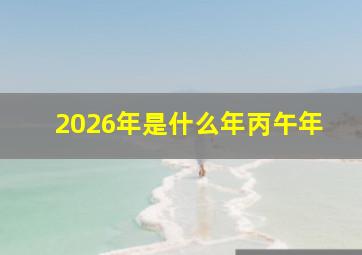 2026年是什么年丙午年