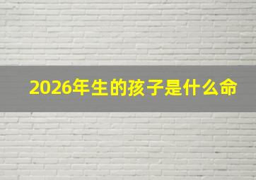 2026年生的孩子是什么命