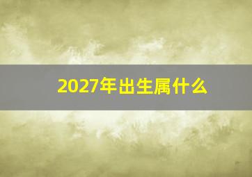 2027年出生属什么