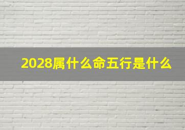 2028属什么命五行是什么