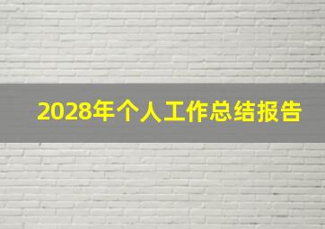 2028年个人工作总结报告