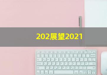 202展望2021