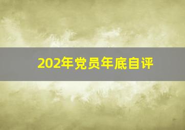 202年党员年底自评