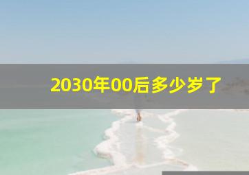 2030年00后多少岁了