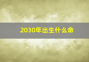 2030年出生什么命