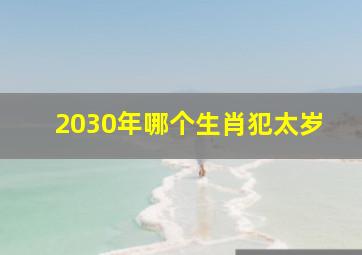 2030年哪个生肖犯太岁