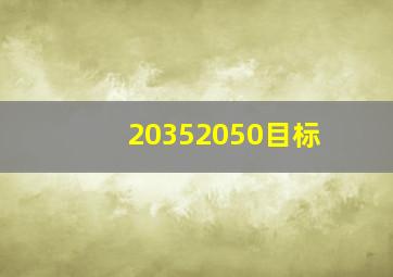 20352050目标