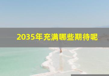 2035年充满哪些期待呢