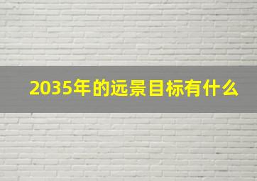 2035年的远景目标有什么