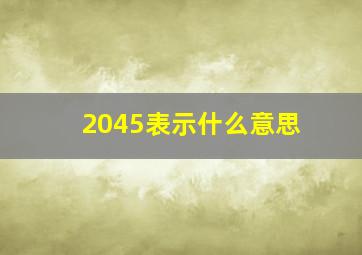 2045表示什么意思