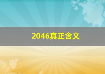 2046真正含义