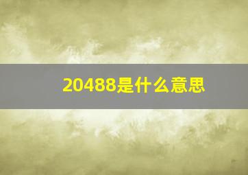 20488是什么意思