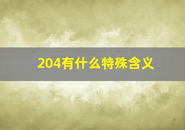 204有什么特殊含义