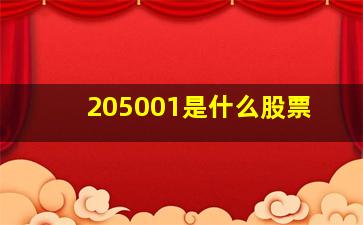 205001是什么股票