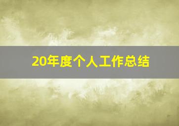 20年度个人工作总结