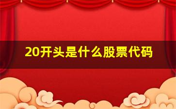 20开头是什么股票代码