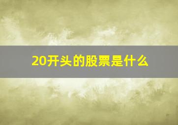 20开头的股票是什么