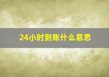 24小时到账什么意思