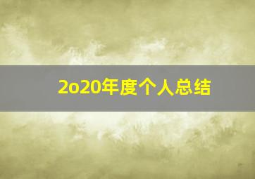 2o20年度个人总结