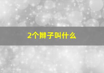 2个辫子叫什么