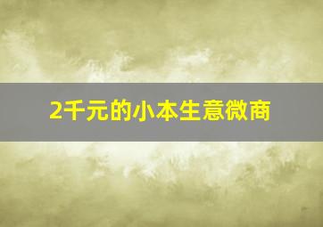 2千元的小本生意微商