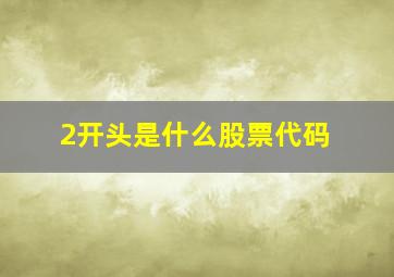 2开头是什么股票代码