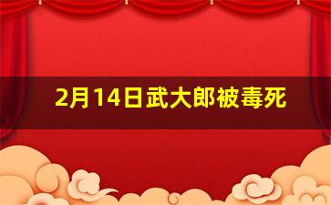 2月14日武大郎被毒死