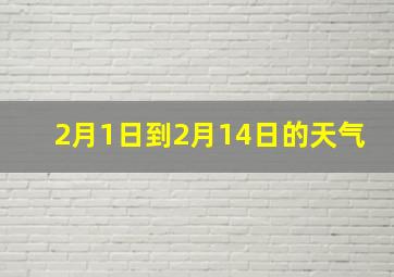 2月1日到2月14日的天气